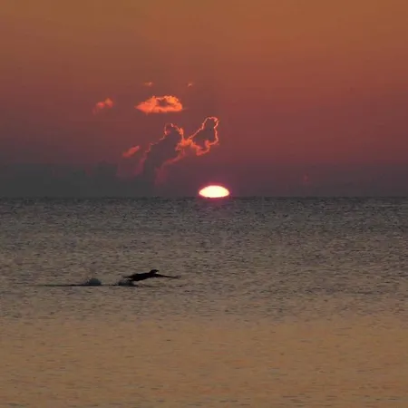 Baabe-strandhaus Semesterbostad