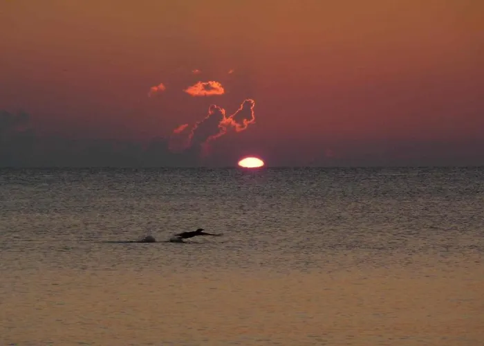 Baabe-strandhaus Tatil Evi